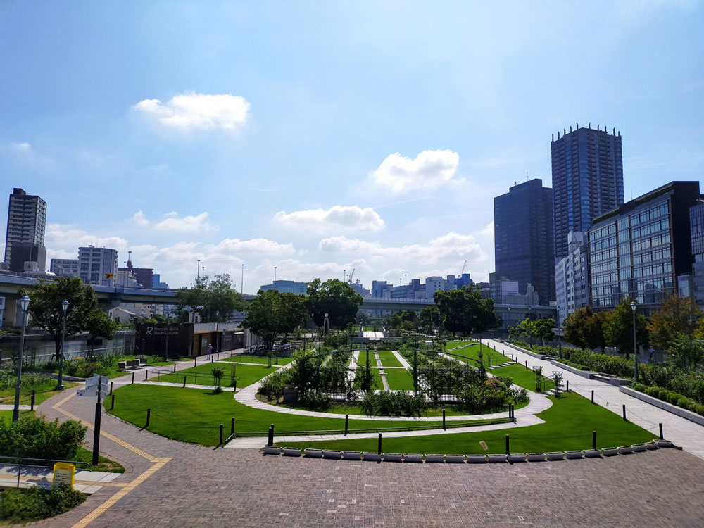 中之島公園のバラ園