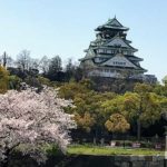 大阪城公園と桜